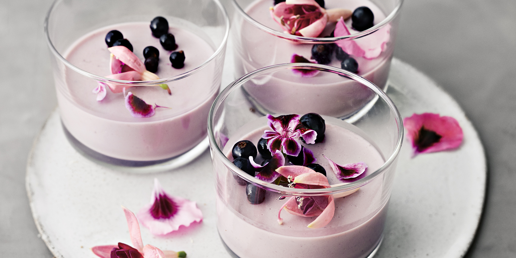 Mustaherukka-pannacotta