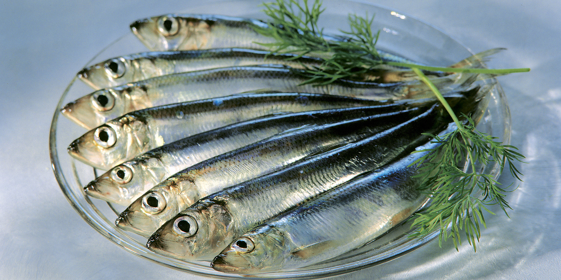 Annos, jossa on kaloja.