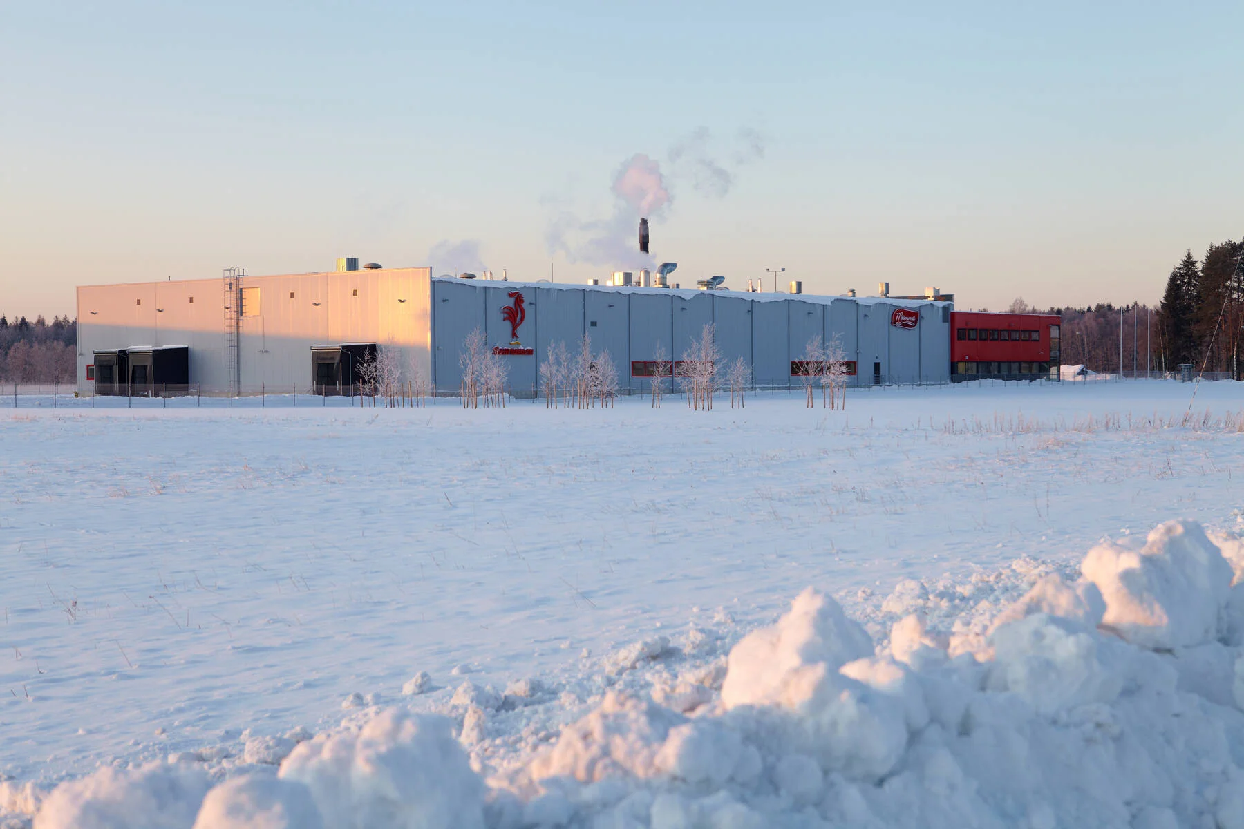 Saarioisten tehdas Virossa, Raplassa.