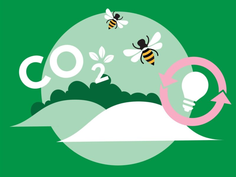 Kuvassa on ampiaisia, hehkulamppu ja hiilidioksidin merkki.