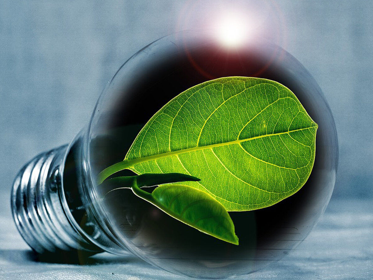 Kuvassa on lamppu, jonka sisällä on lehti.